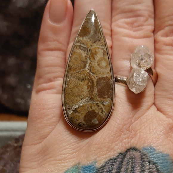 Gigantic Fossil Coral Statement Ring - Picture 5 of 8